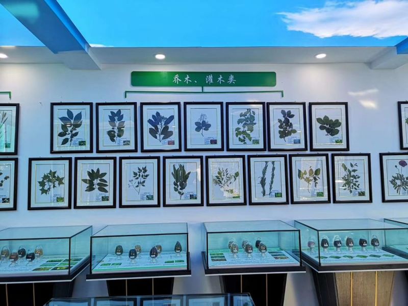 標(biāo)本展覽館